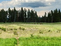 IMG_20180727_162751