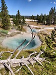 IMG_20180727_105108