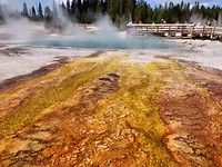 IMG_20180727_110310
