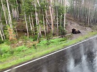 IMG_20180727_171008