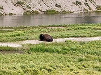 IMG_20180726_143935