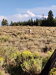 IMG_20180804_191646