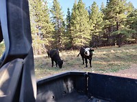 IMG_20180804_191405