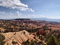 IMG_20180804_101856