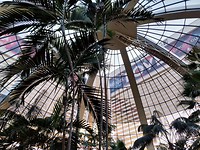 IMG_20180807_185941