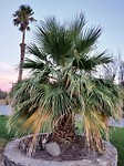 IMG_20180808_194712