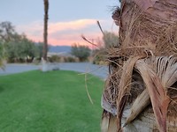 IMG_20180808_194654_Bokeh