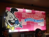 Wilde avond in de karaoke bar
