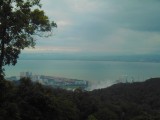 DSCN2642