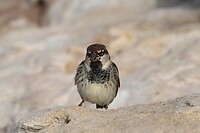 IMG_0689