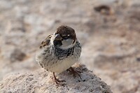 IMG_0691