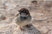 IMG_0692