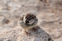IMG_0693