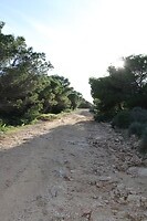 IMG_0733