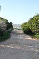 IMG_0734