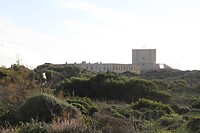 IMG_0735