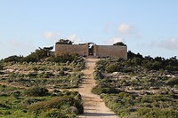 IMG_0736