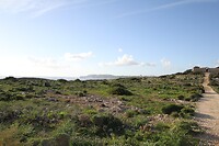 IMG_0737