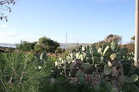IMG_0738