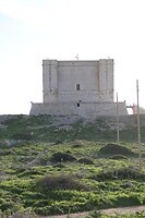 IMG_0742