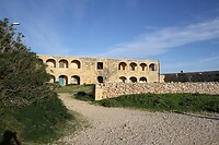 IMG_0743
