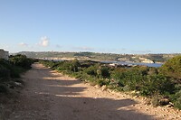 IMG_0745