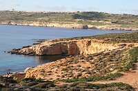 IMG_0746