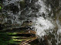 DSCN9745