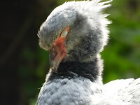 DSCN9749