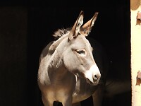 DSCN9795