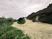 IMG_3848