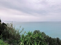 IMG_3837