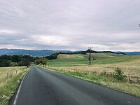 IMG_4514