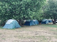 IMG_4534