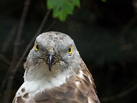 DSCN3641