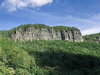 IMG_4570