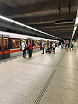 IMG_4581