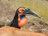 DSCN3692