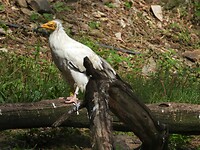 DSCN3755