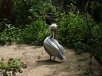 DSCN3757