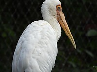 DSCN3775
