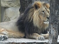 DSCN3837
