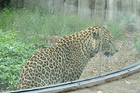 P1050690