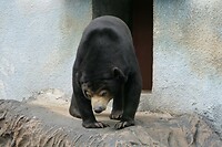 P1050692