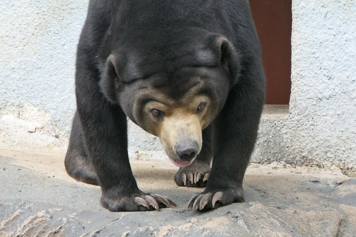 P1050693