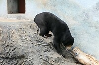 P1050694