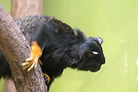 P1050719