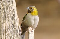 P1050728