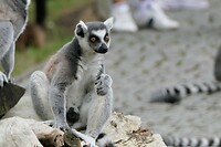 P1050823