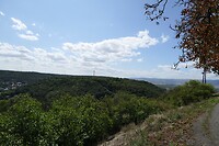 P1050919